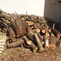 خرید چوب بالاترین قیمت