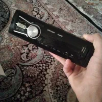 ظبط سالم
