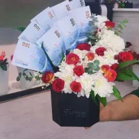 کادویی|اسباببازی|قم, باغ شریفی|دیوار