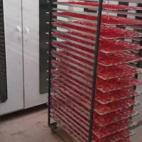 دستگاه خشک کن گوجه فرنگی میوه سبزی انگور کشک d900b