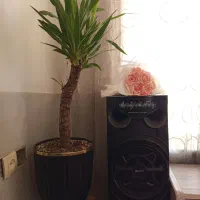 گل طبیعی