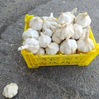 سیرتند همدان یک دست