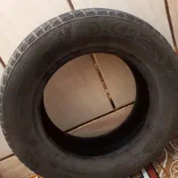 لاستیک پژویی در حد نو