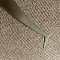 پنس موژه سی لش