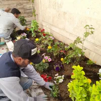 سمپاشی باغبانی تیلرزدن درتمام نقاط مشهد