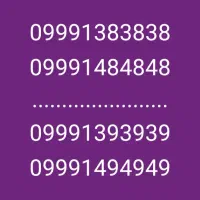 09991515151