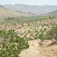 ملک پلنگان