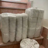 ظرف یک بار مصرف رستورانی