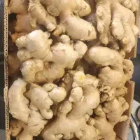 زنجبیل و زردچوبه تازه درجه 1