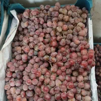 انگور کندری ۶۲ تومن