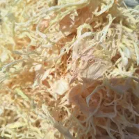 پیاز خشک