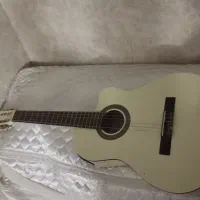 گیتار حرفه ای