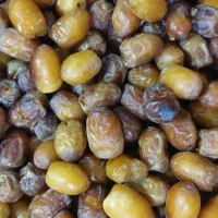 خرمای ربی،زردان و مضافتی سراوان