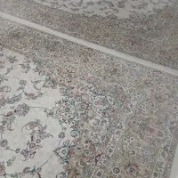 یه جفت ۱۲متری