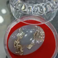 نگین شجر بهاری زیبا