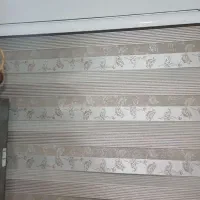 پرده زبرا و پانچی