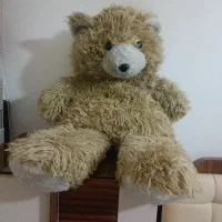 عروسک پشمی