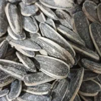 کیفیت ما تبلیغ ماست پخش تخمه بروز تازه