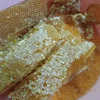 عسل درجه یک با موم سفید