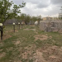 فروش زمین دارای درخت (باغ) روستای میم دشت بالا
