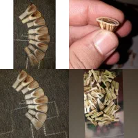 قمیش کرنا و سرنا بختیاری