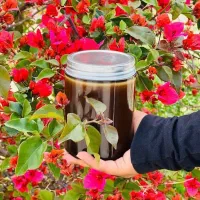 سردی بدن معجون/بلغم/کبد چرب /مشکلات جنسی