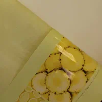 کاغذ دیواری
