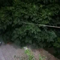 ویلایی دربست امام خمینی ۸ رهن کامل