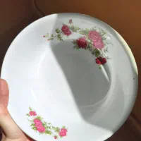 مرغ خوری گل سرخی