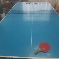 میز پینگ پنگ