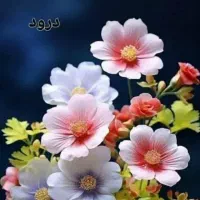 آغاز ثبت نام رایگان آموزشهای طب سنتی