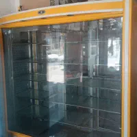 یخچال صنعتی ایستاده