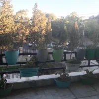 رهن-و-اجاره-160-متر-سیمای-ایران