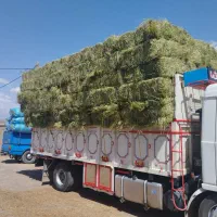 یونجه خرد شده و بسته بندی