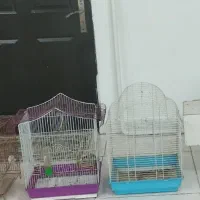 قفس پرنده