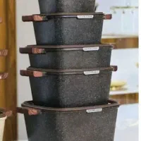 سرویس قابلمه ده پارچه زیو