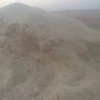 فروش کاه گندم دیمه در احمدآبادصولت