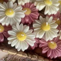 گیفت شمع با قیمت استثنایی