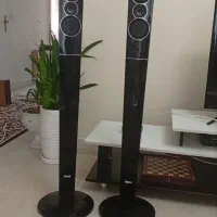 باند ودیویدی مارشال
