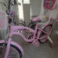 دوچرخه دخترانه صورتی 16