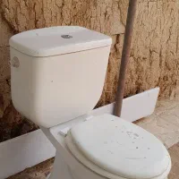 توالت فرنگی و تعدادی روشور