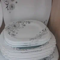 ۲ عدد ارکوپال
