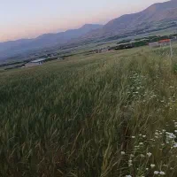 زمین باغ کانی کبود