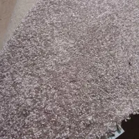 پالاز درجه یک اقتصادی