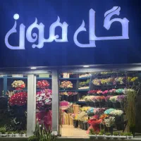 نیروی ساده گلفروشی