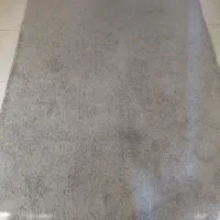 فرش تدی