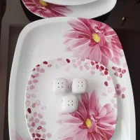 سرویس غذاخوری
