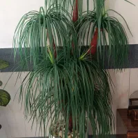 گل مصنوعی فروشی