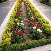 خدمات باغبانی و باغچه کاری