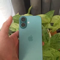 ایفون ۱۶ تمیز شکاری با ریجستر